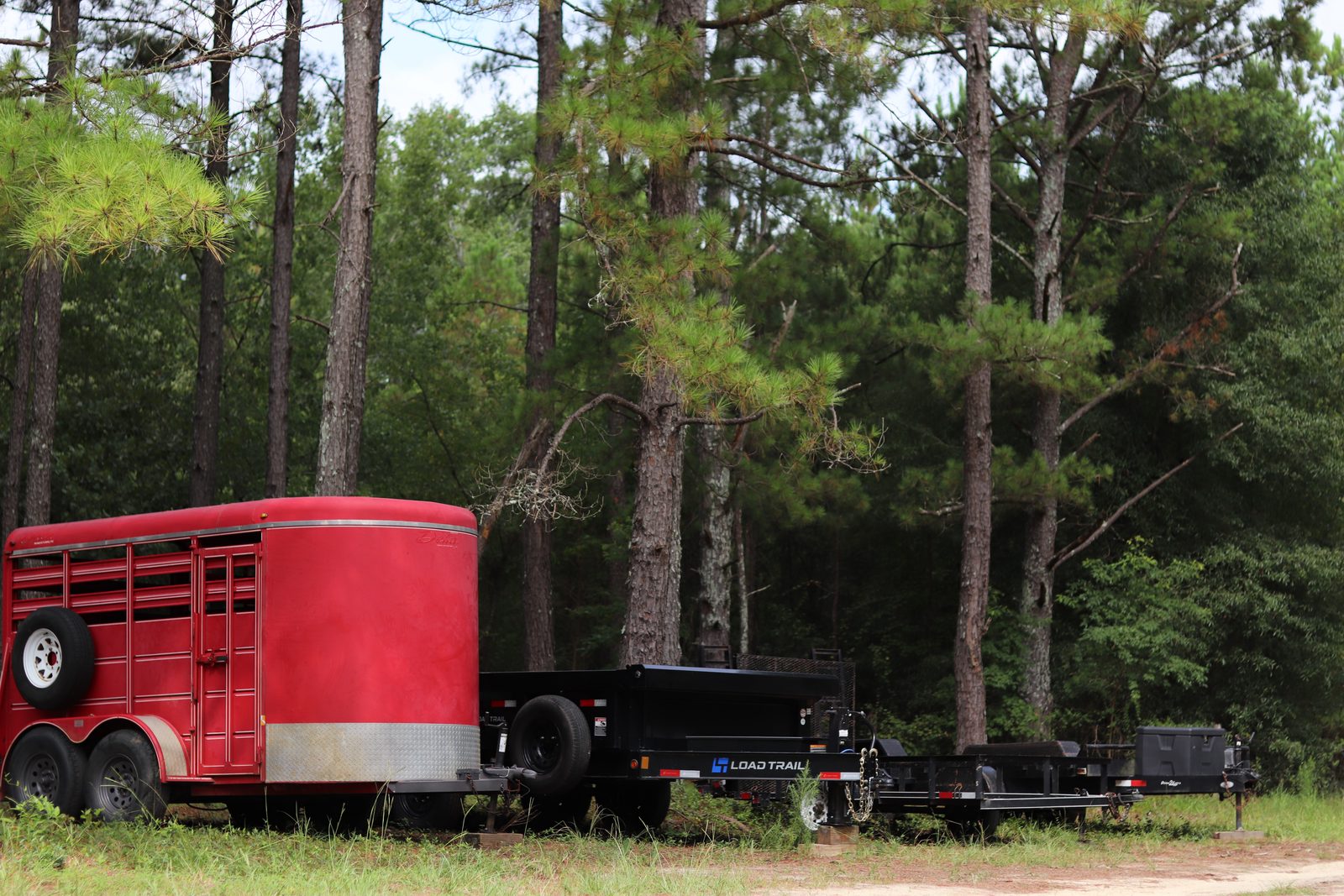 Real Southern Rentals fleet — livestock trailer, dump trailer, and utility trailer lined up and ready to rent