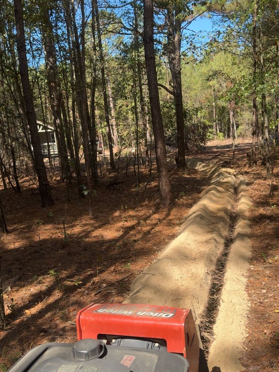 Freshly cut trench line running through a wooded lot